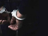 Şanlıurfa'da doktor ve sağlık personeline saldırmak isteyen kişi tutuklandı
