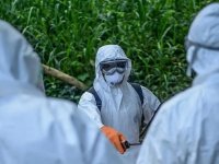Kongo Demokratik Cumhuriyeti'nin Kuzey-Kivu eyaletinde "Ebola salgını" ilan edildi