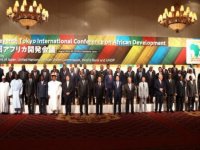 Japon hükümeti, Çin ve Rusya'nın nüfuzunu artırdığı Afrika'da büyüme fırsatları arıyor