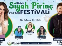 Düzce'de düzenlenen "Siyah Pirinç ve Kültür Festivali" sona erdi