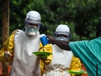 Afrika ülkeleri, Ebola salgını nedeniyle acil toplanıyor