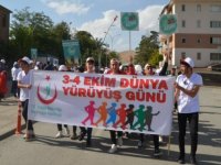 Muş'ta Dünya Yürüyüş Günü dolayısıyla etkinlik düzenlendi