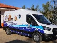 Kaş Belediyesi'nin "Sokak Hayvanları Müdahale Aracı" hizmete başladı
