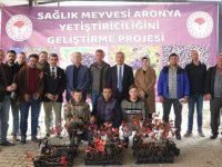 İznik’in Bereketi, Sağlık Meyvesi Aronya İle Buluşuyor