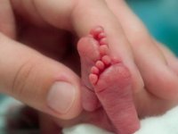 Dünya Prematüre Günü, prematüre bebeklerle kutlandı