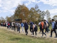 Sakarya'da sonbahar yürüyüşleri devam ediyor