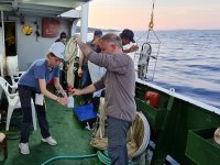 İstanbul Üniversitesi, Karaburun Ildır Körfezi'nde denizel biyoçeşitliliği araştırıyor