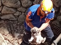 Afyonkarahisar’da bina boşluğuna sıkışan köpek yavrusunu AFAD ekipleri kurtardı