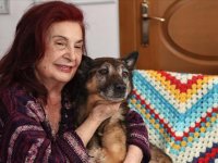 Ankara'daki Alman kurdu kırması "Zeynep", "hayattaki en yaşlı köpek" unvanına aday