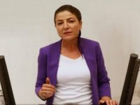 HDP'li Gülüm: "Hayati riski bulunan hastalar dahi aylarca randevu sırası beklemek zorunda kalıyor"