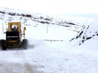 Diyarbakır'da kardan kapanan yol aşılarak doğum yapan kadın kurtarıldı