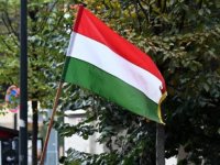Macaristan deprem nedeniyle Türkiye'ye 105 ton sağlık malzemesi daha yolladı