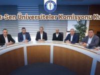 Sağlık-Sen Üniversiteler Komisyonu kuruldu