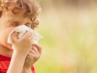 Alerjik Çocuklar İçin 14 Öneri