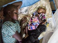 Nijerya'nın Yobe eyaletinde menenjit salgınında 10 kişi öldü