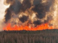 Kanada'da orman yangınları nedeniyle tahliye edilenlerin sayısı 29 bine çıktı
