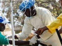 Kamerun’da son iki haftada 512 yeni kolera vakası tespit edildi