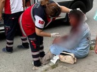 Ataşehir’de köpeğin saldırısına uğrayan kadın ağır yaralandı
