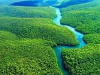 Kolombiya'da Amazonların korunması için "Amazon Yolu Zirvesi 2023" düzenlenecek
