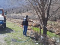 Seydişehir'de sivrisinekle mücadele