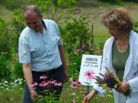 Bursalı doktorun Nilüfer'deki 10 dönümlük tıbbi aromatik bahçesi doğaseverleri ağırlıyor