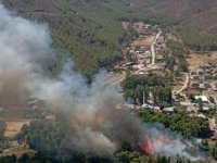 Bakan Koca'dan İzmir Menderes'teki orman yangınından etkilenenlerin sağlık durumuna ilişkin açıklama