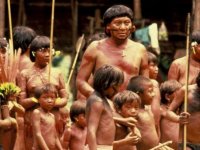 Amazonlardaki kaçak madencilik Yanomami kabilesinden çocukların ölümüne yol açıyor