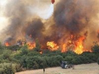 Çanakkale'deki orman yangınlarından etkilenen 61 kişiden 4'ünün tedavisi devam ediyor