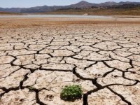 Yükselen sıcaklıklar dünyanın kırsal bölgelerinde kuraklık riskini artırıyor