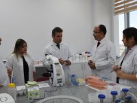 BŞEÜ Tıp Fakültesi'nde DMD hastalığının tedavisine yönelik araştırmalar devam ediyor
