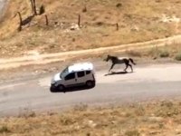 Elazığ'da hareket halindeki araca at bağlayan kişiye para cezası