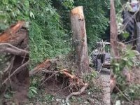 Kastamonu'da ağaç keserken yaralanan kişi tedavi altına alındı