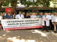 Antalya'da veteriner hekimler şiddete tepki amacıyla bir araya geldi
