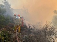 Sağlık Bakanı Koca, Çanakkale'deki orman yangınından 83 kişinin etkilendiğini açıkladı