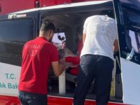 Şırnak'ta solunum sıkıntısı yaşayan bebek ambulans helikopterle Gaziantep'e sevk edildi