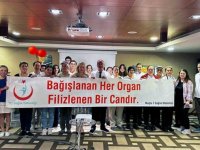 Türkiye’de Yılda 8 Bin Organ Nakli Yapılıyor