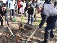 Muğla’da Sağlık Ekipleri Fidanları Toprakla Buluşturdu