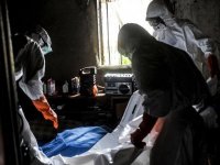 DSÖ'den 5 Afrika ülkesi için şarbon salgını uyarısı