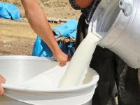 Çiğ sütün işlenmesine yönelik bazı özel hijyen kurallarına uyum süresi uzatıldı