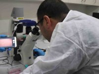 Bitlis Eren Üniversitesinde ‘Hücre Kültürü’ Laboratuvarı Kuruldu