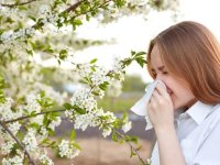 Bahar alerjisi soğuk algınlığıyla benzer belirtiler taşıyor
