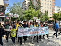 Siirt'te öğrenciler "Sağlık İçin Hareket Et Günü" yürüyüşüne katıldı