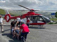 Arıların Soktuğu Hasta Ambulans Helikopterle Tatvan’a Sevk Edildi