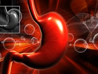 Farelerdeki pankreas kanserini tedavi eden araştırmacılara klinik deneyler için en az 30 milyon avro gerekiyor