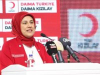 Türk Kızılay Genel Başkanı Yılmaz, "Çevrim İçi Aile Akademisi" açılış programında konuştu: