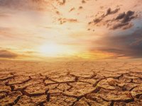 Küresel ısınma kene, yılan ve akrep gibi canlıların yayılımını artırıyor