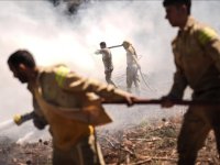 Orman yangınlarıyla mücadeleye bu yıl yaklaşık 39 bin kişilik gönüllü ordusu destek oldu