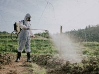 Fransa'da pestisit kullanımına izin veren yasaya tepkiler büyüyor