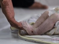 İsrail'in açlığa mahkum ettiği Gazze'de bir bebek daha açlıktan hayatını kaybetti