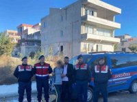 Rize'de kaybolan otizmli 10 yaşındaki çocuk bulundu